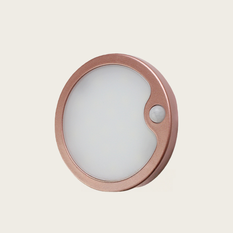 LED Motion Sensor Light